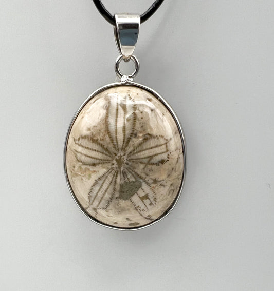 Seeigel Kette, Sanddollar Fossil Anhänger